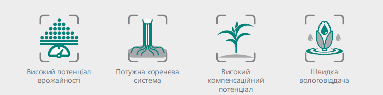 asset_image
